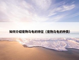 如何介绍宠物乌龟的特征（宠物乌龟的种类）