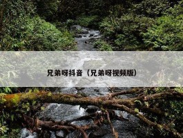 兄弟呀抖音（兄弟呀视频版）