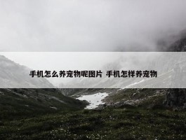 手机怎么养宠物呢图片 手机怎样养宠物