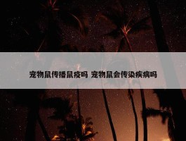 宠物鼠传播鼠疫吗 宠物鼠会传染疾病吗