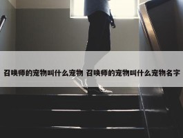 召唤师的宠物叫什么宠物 召唤师的宠物叫什么宠物名字