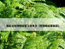 新起点短视频运营工资多少（短视频运营底薪）