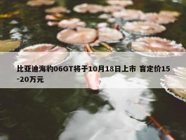 比亚迪海豹06GT将于10月18日上市 盲定价15-20万元