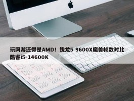 玩网游还得是AMD！锐龙5 9600X魔兽帧数对比酷睿i5-14600K