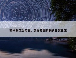 宠物狗怎么照顾，怎样照顾狗狗的日常生活