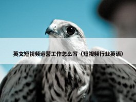 英文短视频运营工作怎么写（短视频行业英语）