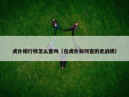 虎扑排行榜怎么查询（在虎扑如何查历史战绩）