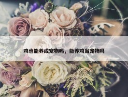 鸡也能养成宠物吗，能养鸡当宠物吗