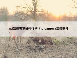 api监控哪家好排行榜（ip camera监控软件）