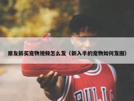 朋友新买宠物视频怎么发（新入手的宠物如何发圈）