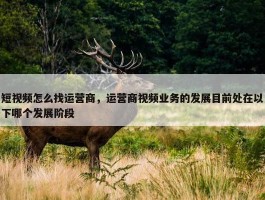 短视频怎么找运营商，运营商视频业务的发展目前处在以下哪个发展阶段