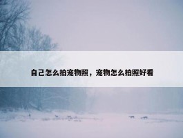 自己怎么拍宠物照，宠物怎么拍照好看