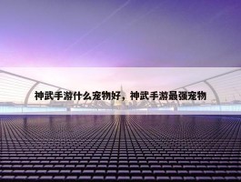 神武手游什么宠物好，神武手游最强宠物