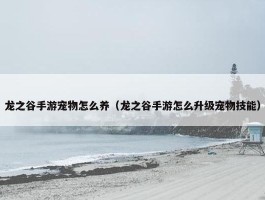 龙之谷手游宠物怎么养（龙之谷手游怎么升级宠物技能）