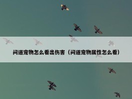 问道宠物怎么看出伤害（问道宠物属性怎么看）