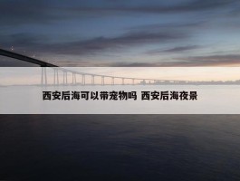 西安后海可以带宠物吗 西安后海夜景