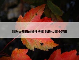 韩剧tv里面的排行榜呢 韩剧tv哪个好用