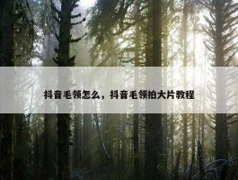 抖音毛领怎么，抖音毛领拍大片教程