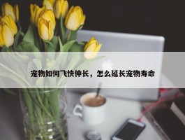 宠物如何飞快伸长，怎么延长宠物寿命