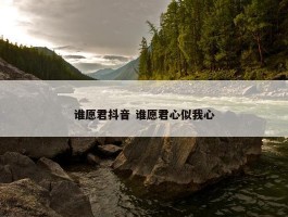 谁愿君抖音 谁愿君心似我心