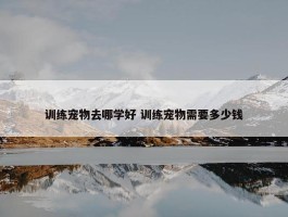 训练宠物去哪学好 训练宠物需要多少钱