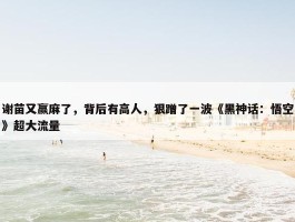 谢苗又赢麻了，背后有高人，狠蹭了一波《黑神话：悟空》超大流量