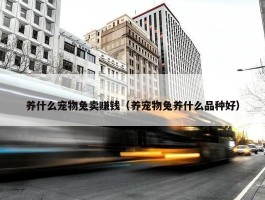 养什么宠物兔卖赚钱（养宠物兔养什么品种好）