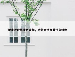 搬家适合养什么宠物，搬新家适合养什么植物