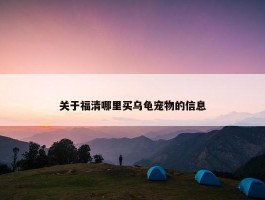 关于福清哪里买乌龟宠物的信息