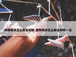 宠物男孩怎么取名好听 宠物男孩怎么取名好听一点