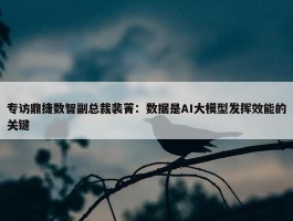 专访鼎捷数智副总裁裴菁：数据是AI大模型发挥效能的关键