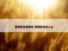 宠物蛇有感情吗 宠物蛇亲近人么