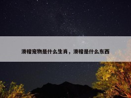 滑稽宠物是什么生肖，滑稽是什么东西