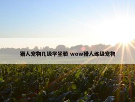 猎人宠物几级学坐骑 wow猎人练级宠物