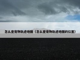 怎么查宠物轨迹地图（怎么查宠物轨迹地图的位置）