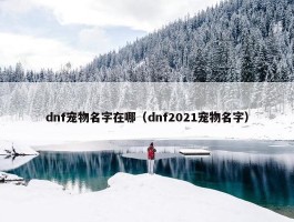 dnf宠物名字在哪（dnf2021宠物名字）