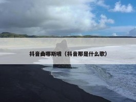 抖音曲哪斯哦（抖音那是什么歌）