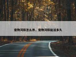 宠物河豚怎么养，宠物河豚能活多久