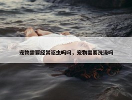 宠物需要经常驱虫吗吗，宠物需要洗澡吗