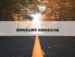 宠物狗怎么聊天 给狗狗怎么沟通