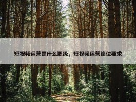 短视频运营是什么职级，短视频运营岗位要求