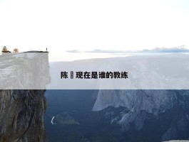 陈玘现在是谁的教练