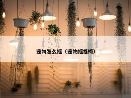 宠物怎么摇（宠物摇摇椅）