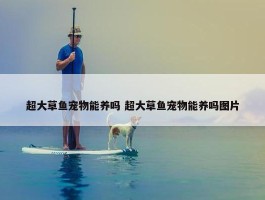 超大草鱼宠物能养吗 超大草鱼宠物能养吗图片