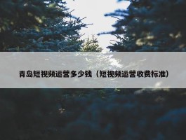 青岛短视频运营多少钱（短视频运营收费标准）