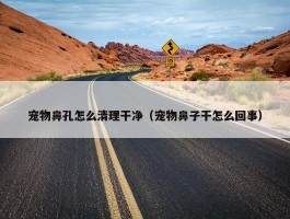 宠物鼻孔怎么清理干净（宠物鼻子干怎么回事）