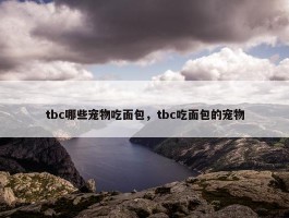 tbc哪些宠物吃面包，tbc吃面包的宠物