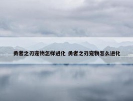 勇者之刃宠物怎样进化 勇者之刃宠物怎么进化