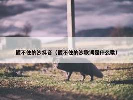 握不住的沙抖音（握不住的沙歌词是什么歌）