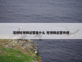 深圳短视频运营是什么 短视频运营待遇